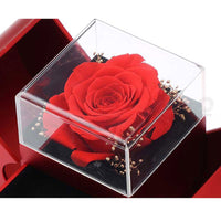 Christmas Gift Red Apple Jewelry Box