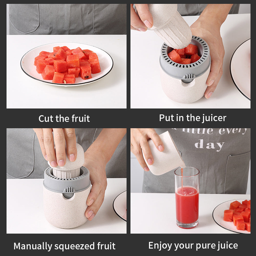 Portable Manual Orange Lemon Fruit Juicer Machine